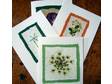 PACK OF FOUR CARDS From the mailbox to the garden