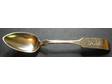 Coin Serving Spoon
